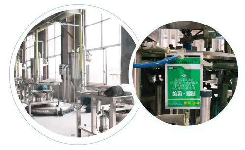 智能驅動，水務革新 重慶樹榮長壽區無人化新工廠正式投產